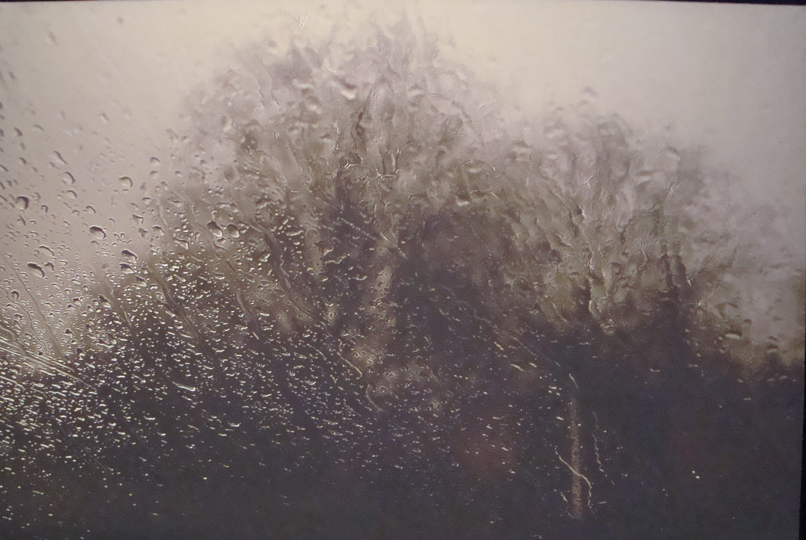 Abbas Kiarostami Repetto Gallery Lugano