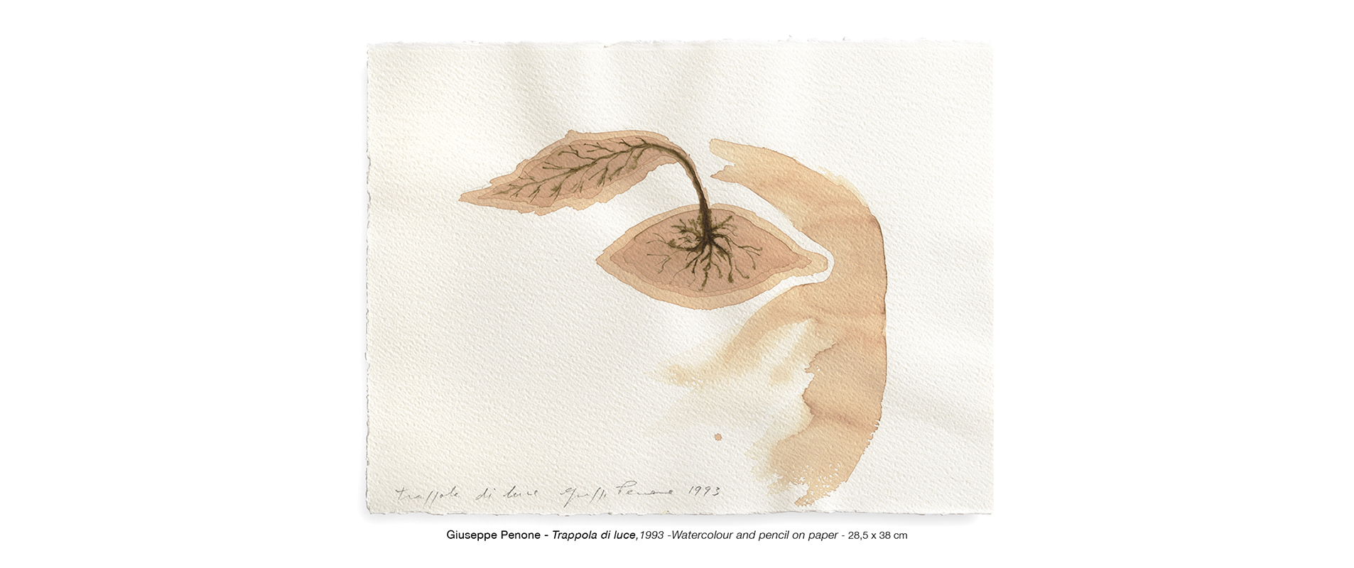 Repetto Gallery - Photo - 10