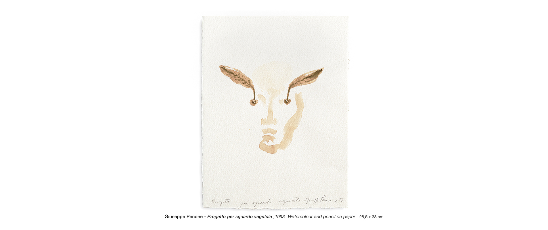 Repetto Gallery - Photo - 11