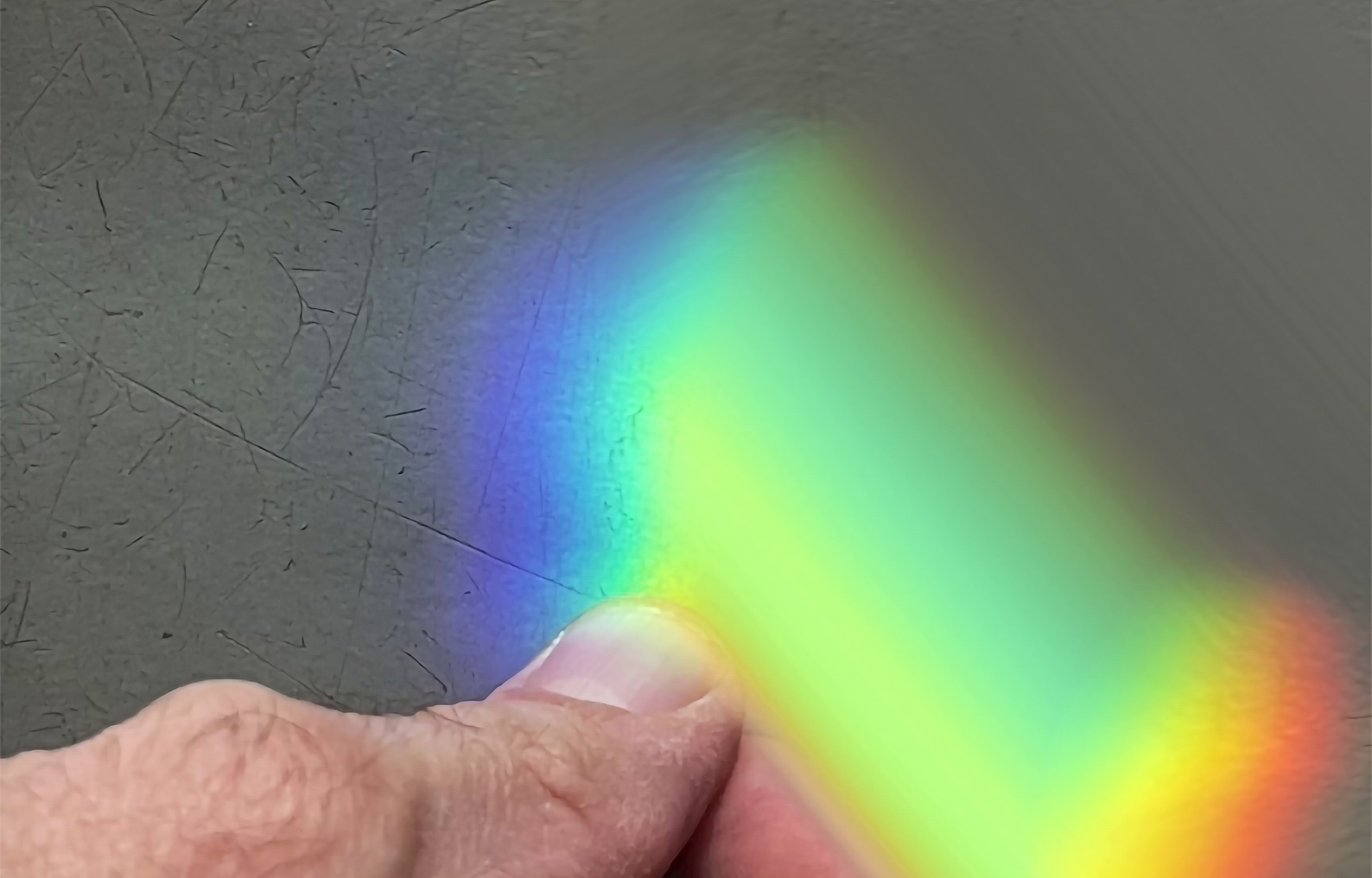 Repetto Gallery - Photo - 1